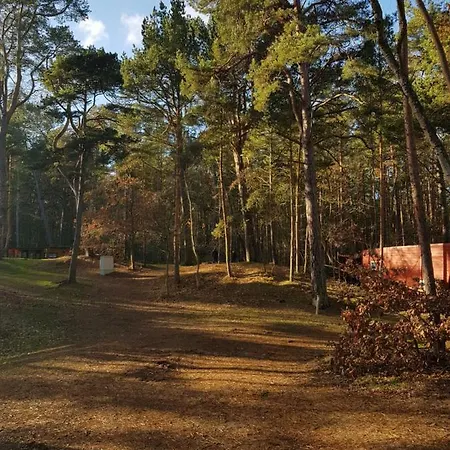 Ferienhauschen Goehren (Ruegen)