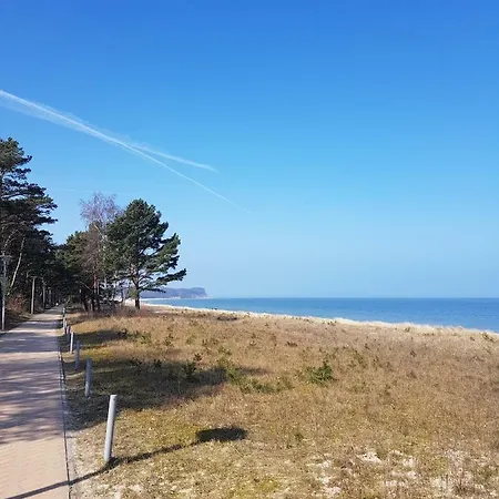 Ferienhauschen Hébergement de vacances Goehren (Ruegen)